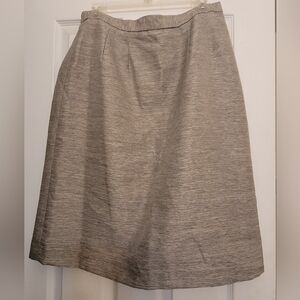 Elegant Gray Women's Skirt